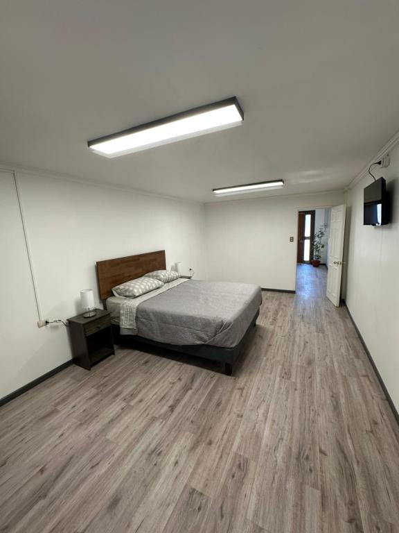 Angol Suite - 5