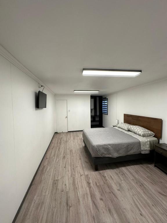 Angol Suite - 1