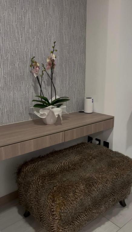 Spectacular Studio por estrenar - 2