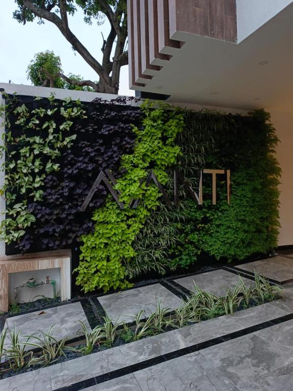 AVANTI !! Espacio de Descanso y Tranquilidad - 1