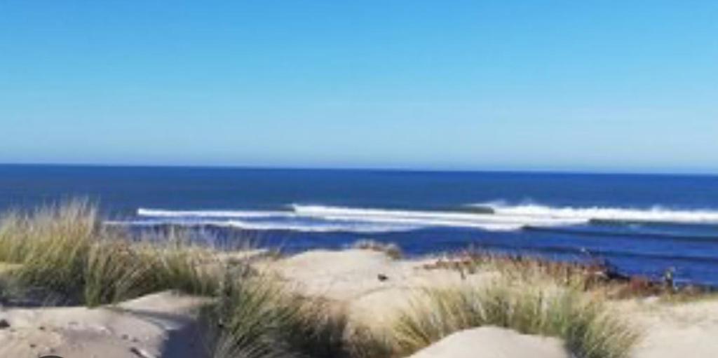 Studio de Charme entre pins,golf et ocean - 3
