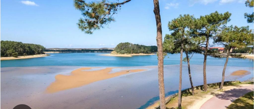 Studio de Charme entre pins,golf et ocean - 2