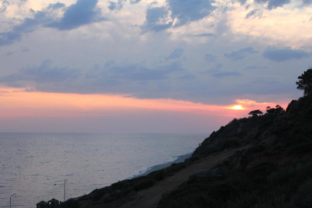 Surrounding environment