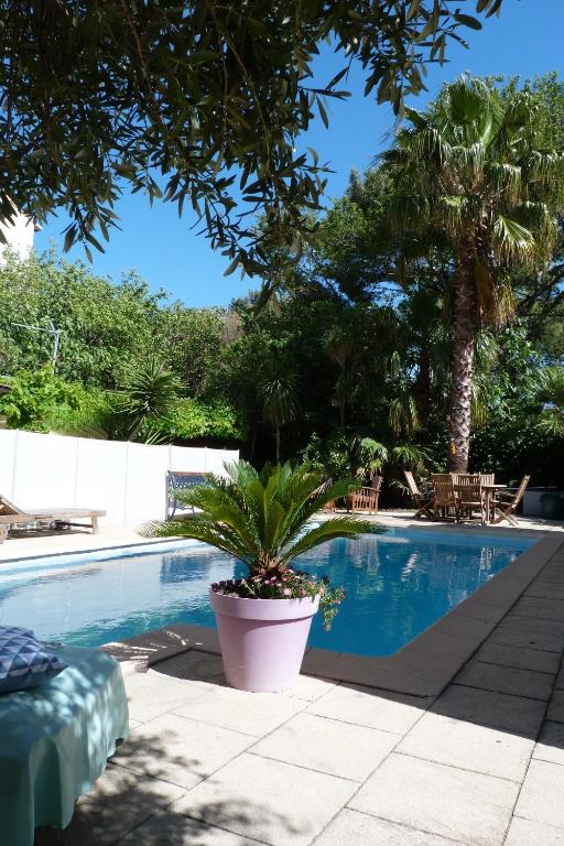 Maison jardin grande piscine 2 étoiles - 2
