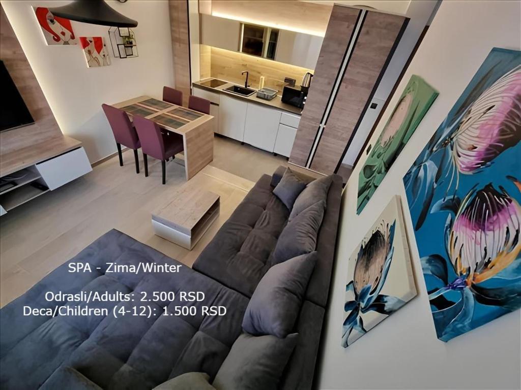Kopaonik Heights N97 Spa and Wellnes - 1