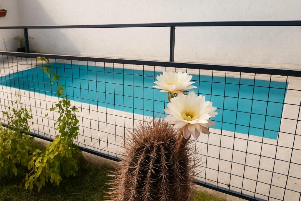 La Casa de Don Paez. - 3