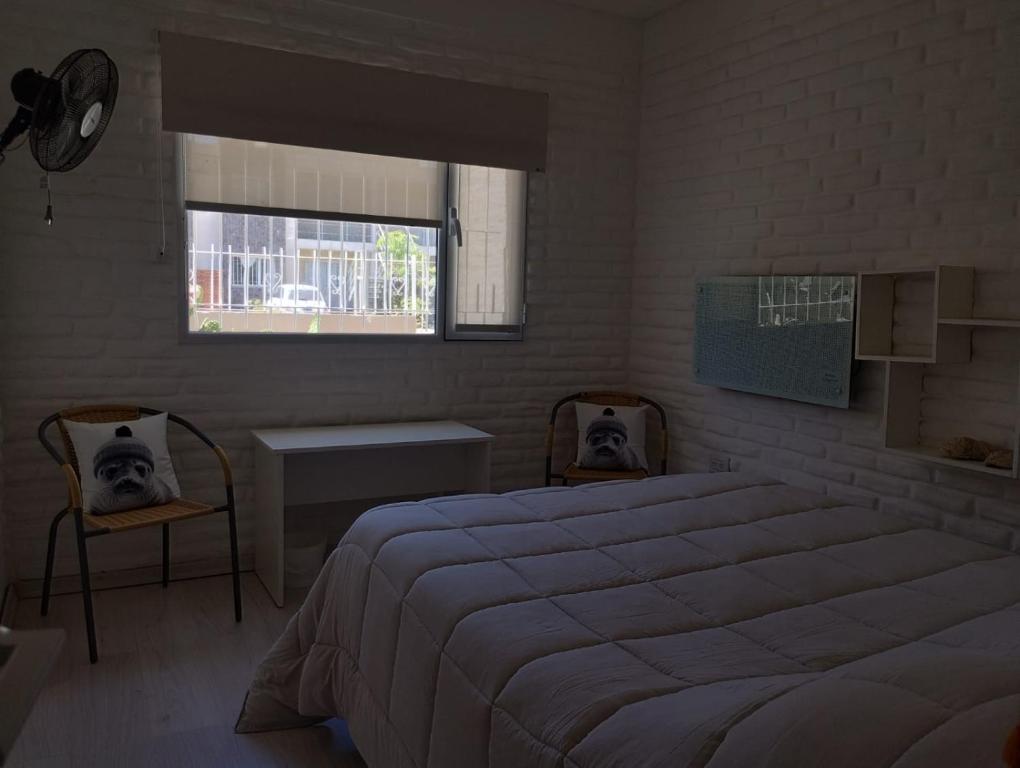 Casa Amonite Hostel Boutique - 5