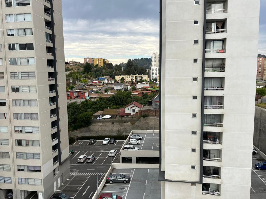 Viña todo el año - 3