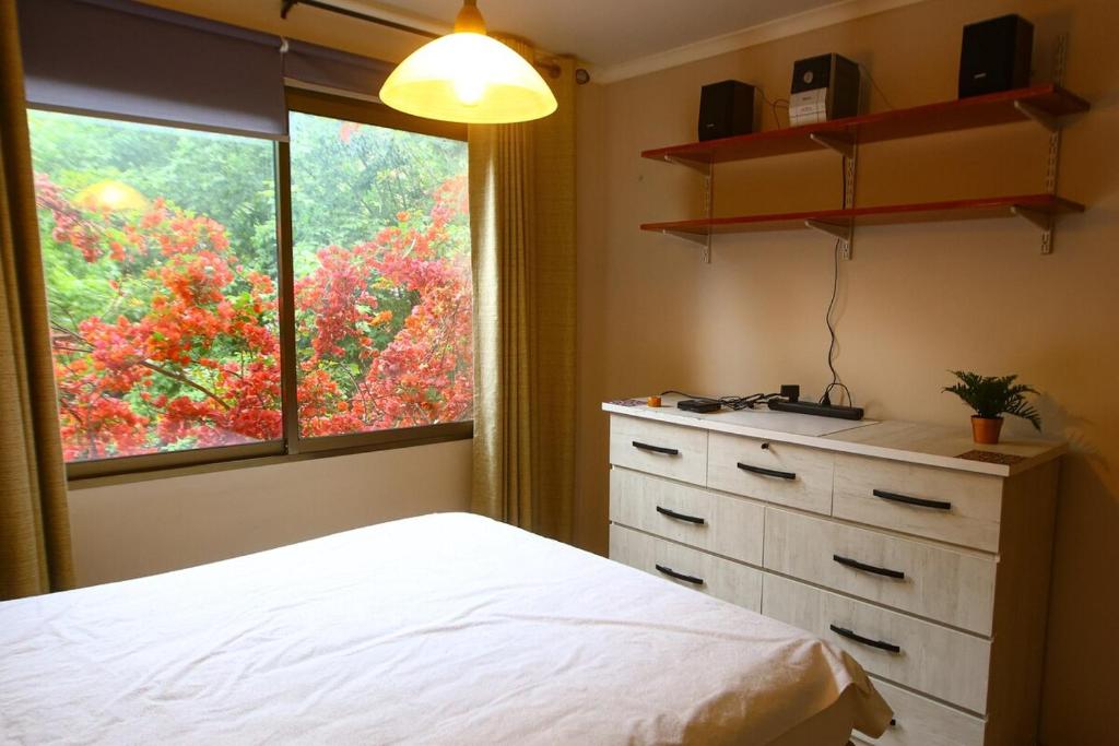 3-room apartment steps from Los Dominicos - 5