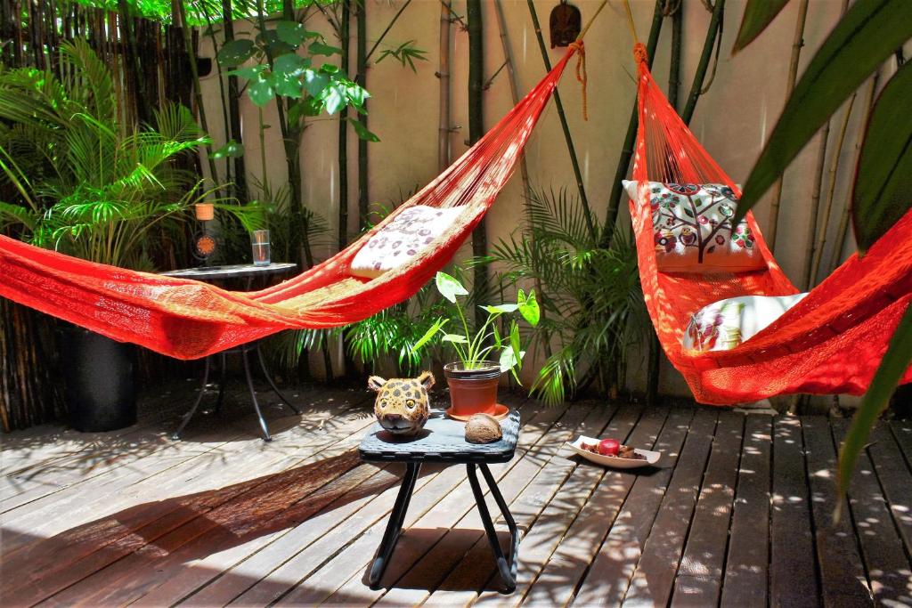 Maya Vacanze Playa Natural — Hotel in Playa Del Carmen