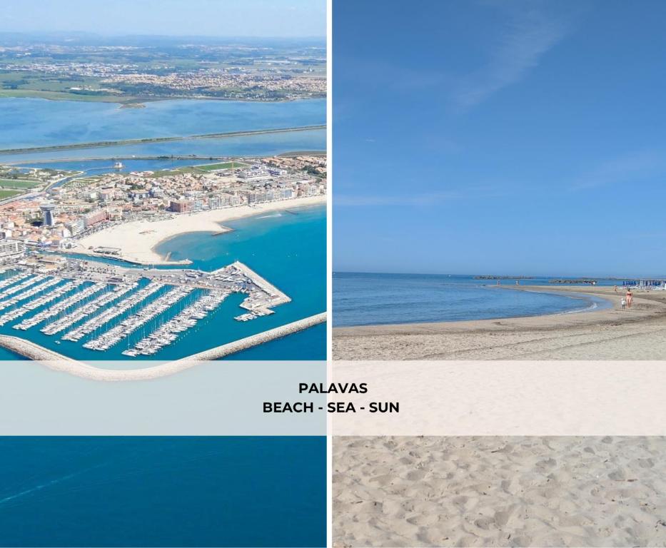 L'Oasis - T2 avec jardin - Piscine - Clim - Parking & Plage à 200m - 4