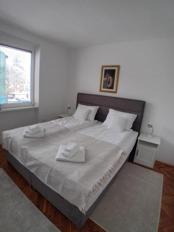 Apartman BRKO - 4