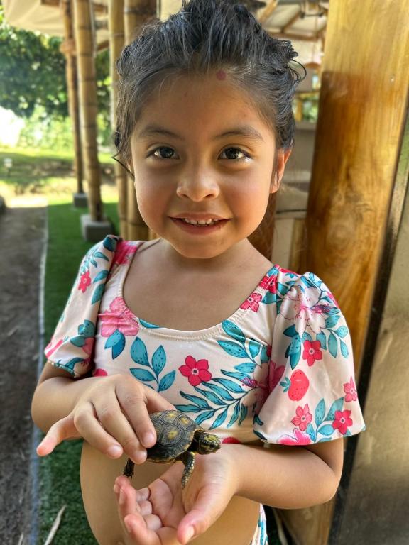 Eco-Glamping Shalom - 2