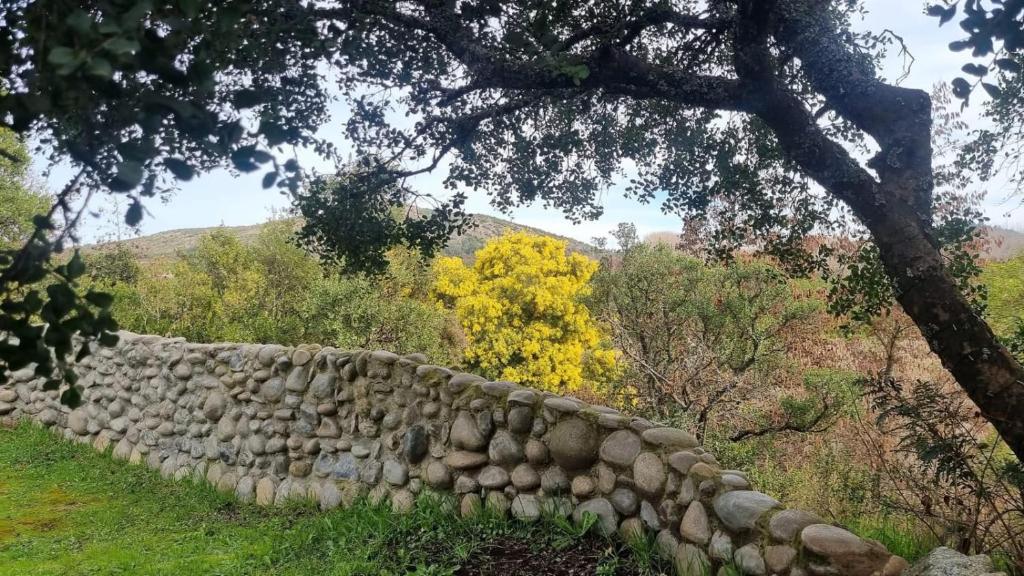 Centro Turístico Mayu Wasi - 4