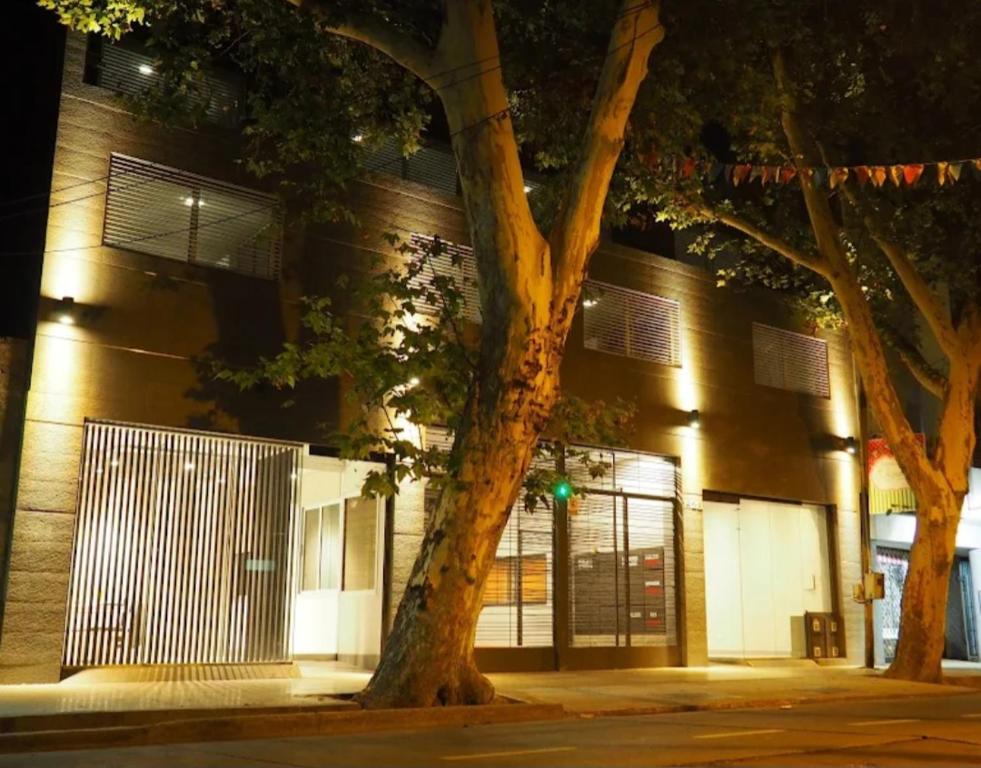 Umbral del aconcagua - 1