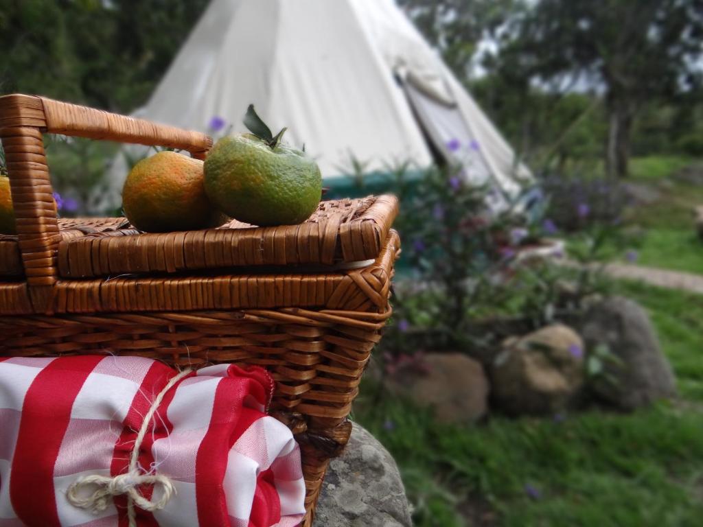 Glamping El Establo photo