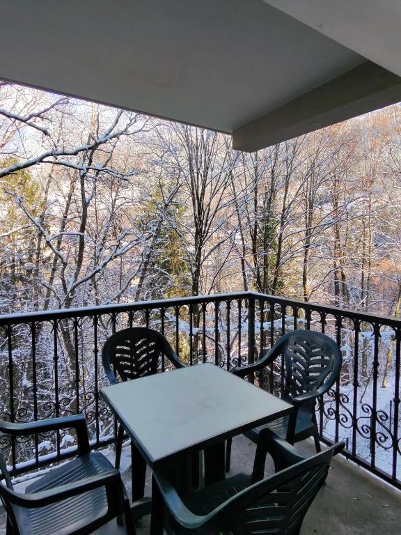 Grand Panorama 1 bedroom - sleeps 4, Parking, Pool, Next to Ski Lift - 5