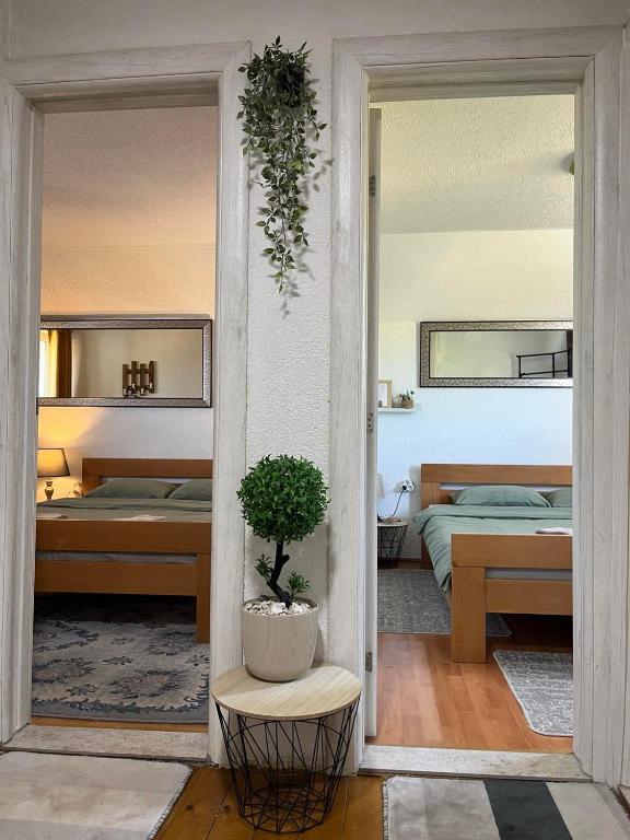 Apartments Baron Žabljak - 5