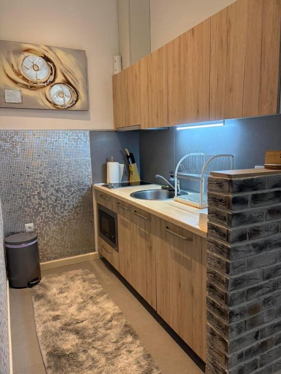 IN Apartman, Župa Kopaonik - 4