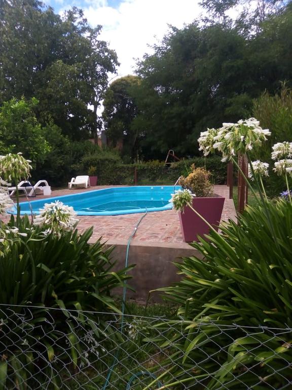Villa Adelina - 3