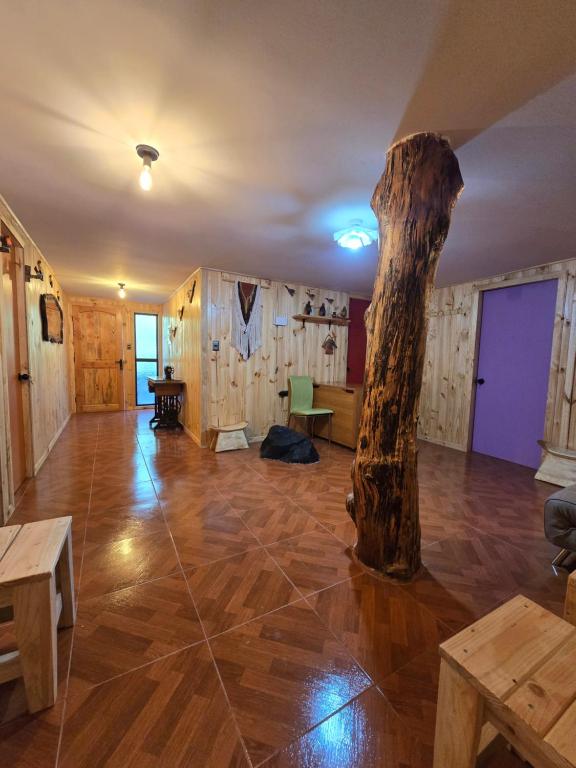 Hostal Aves del Sur Coñaripe - 1