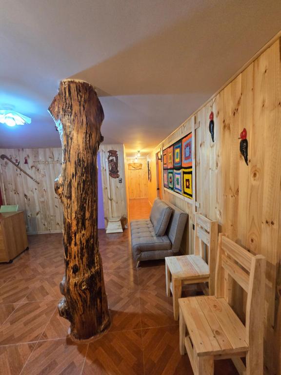 Hostal Aves del Sur Coñaripe - 4