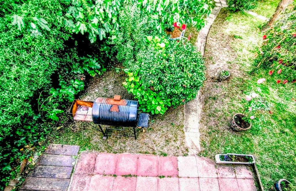 Lala Gesell Center 3 - 4