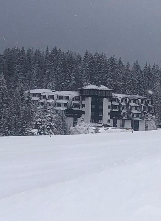 Apartman Nikolic 418 - 1