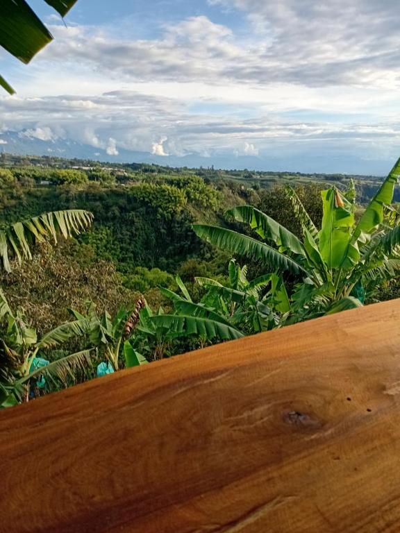 Cabañas la Miranda - 4