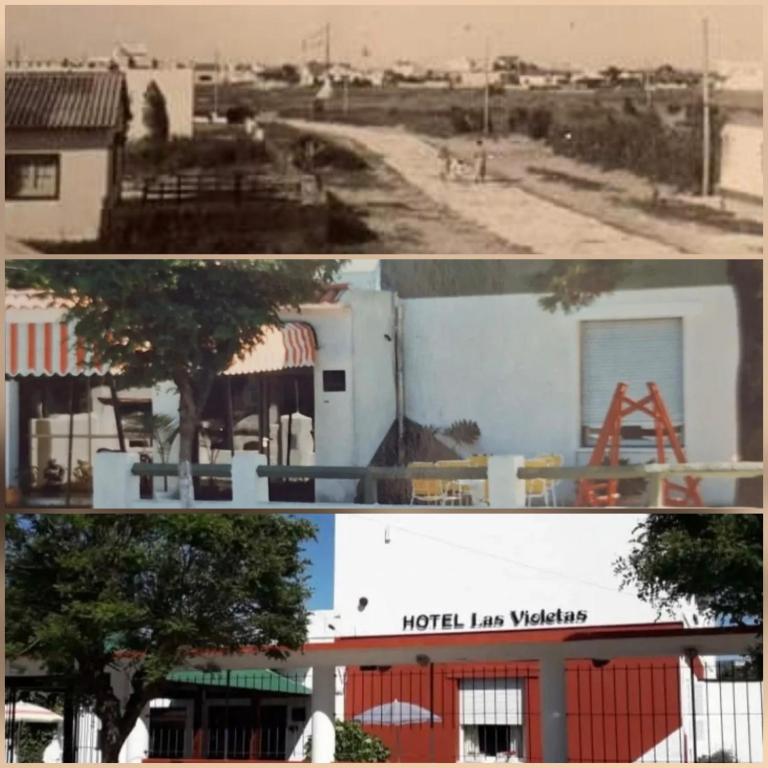 Las Violetas - 1