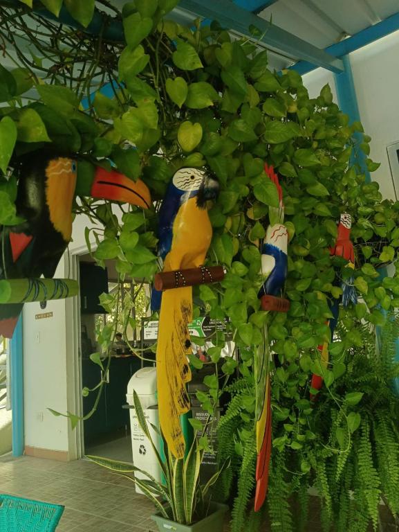 Casa Finca Mauka - 2