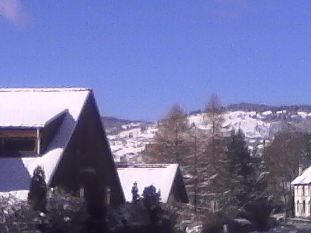 Gite de L'ours - 2