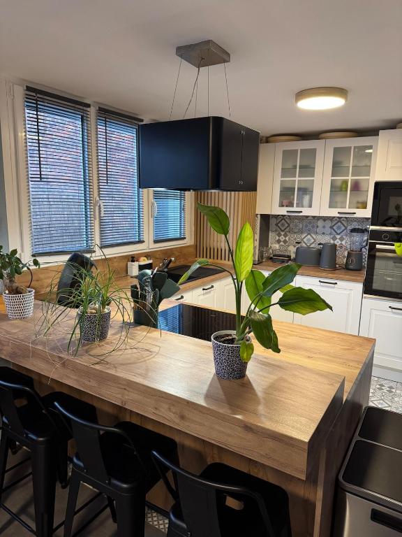 Loft Opale - 3