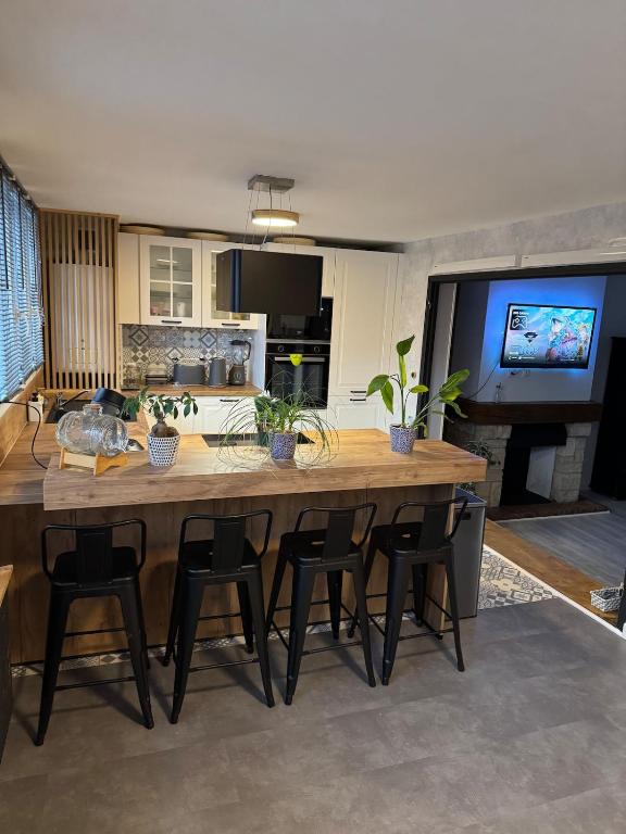 Loft Opale - 1