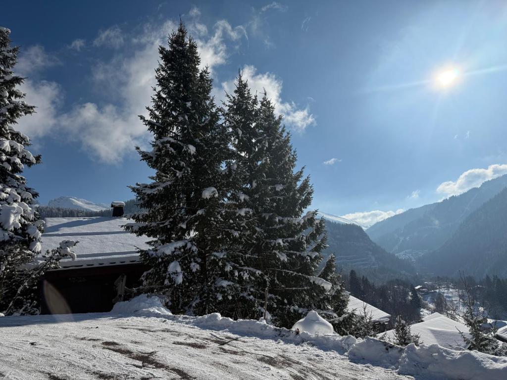 Chalet La Piste Noire - 1