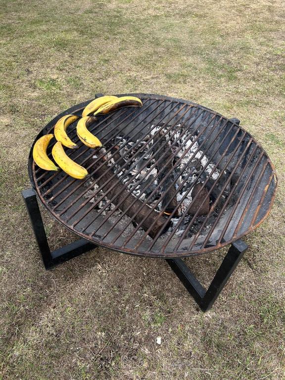 Villa San Carlos-Casa familiar con amplio Jardín - 2