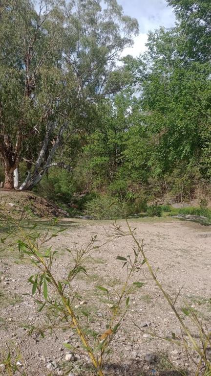 El Descanso Cabañas - 2