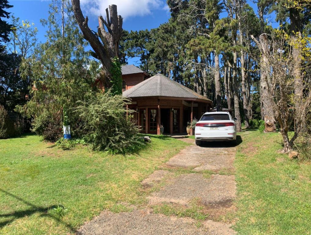 CHALET ENTRE PINOS IDEAL PARA 4 HUESPEDEs - 3