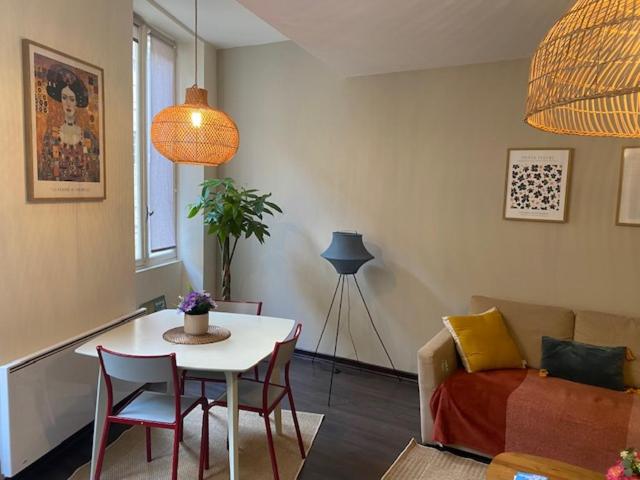 Grand T2 de 48m2 plein centre - 4