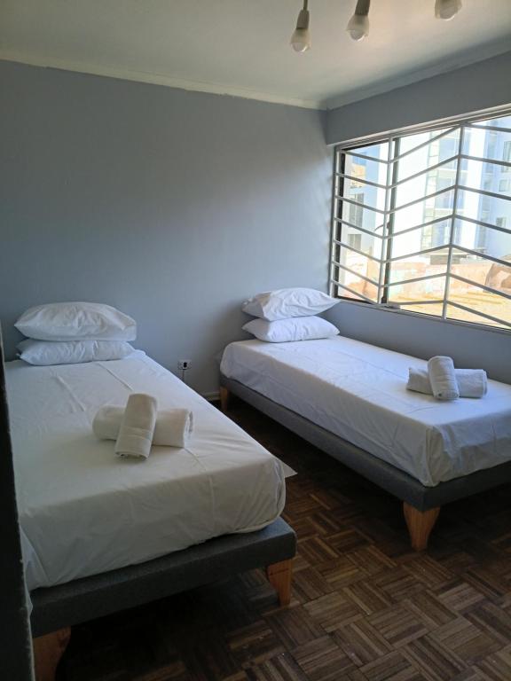 Hostal Casa Quinta Vergara 2 - 3