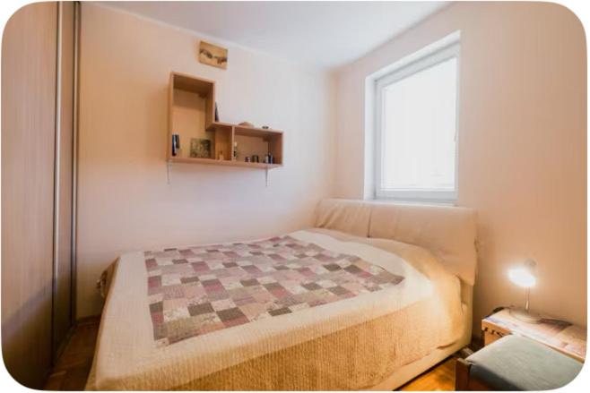 Warm and comfortable two rooms flat - 2