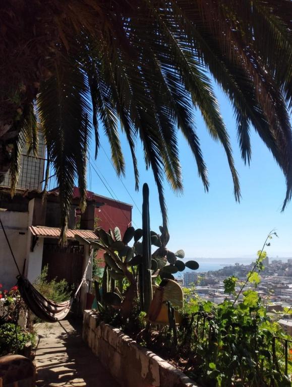 Habitación en casa palmera Valparaiso - 4