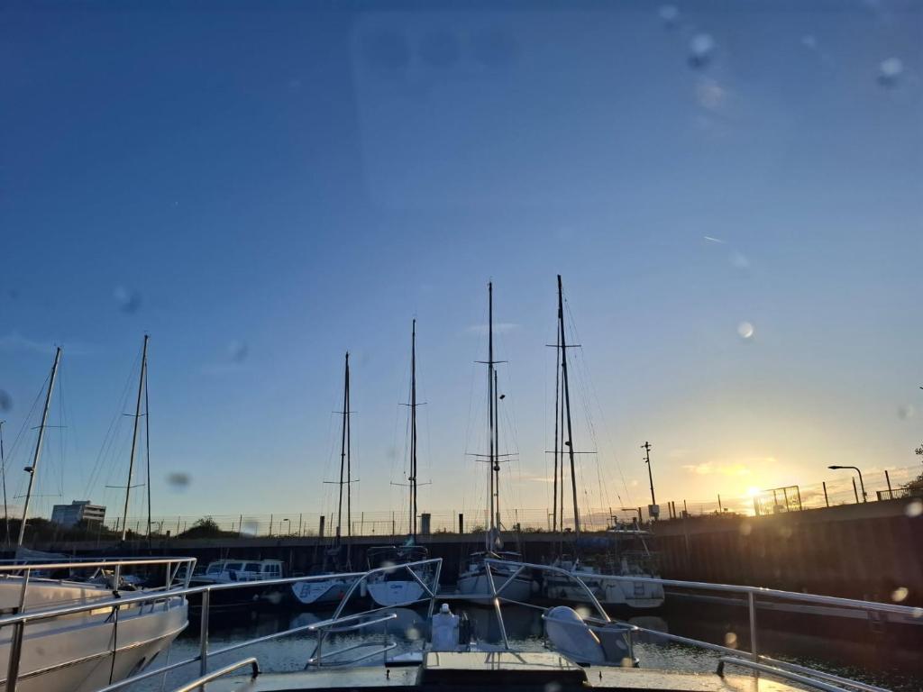 Le carpe diem bateau chauffe toute l'année - 1