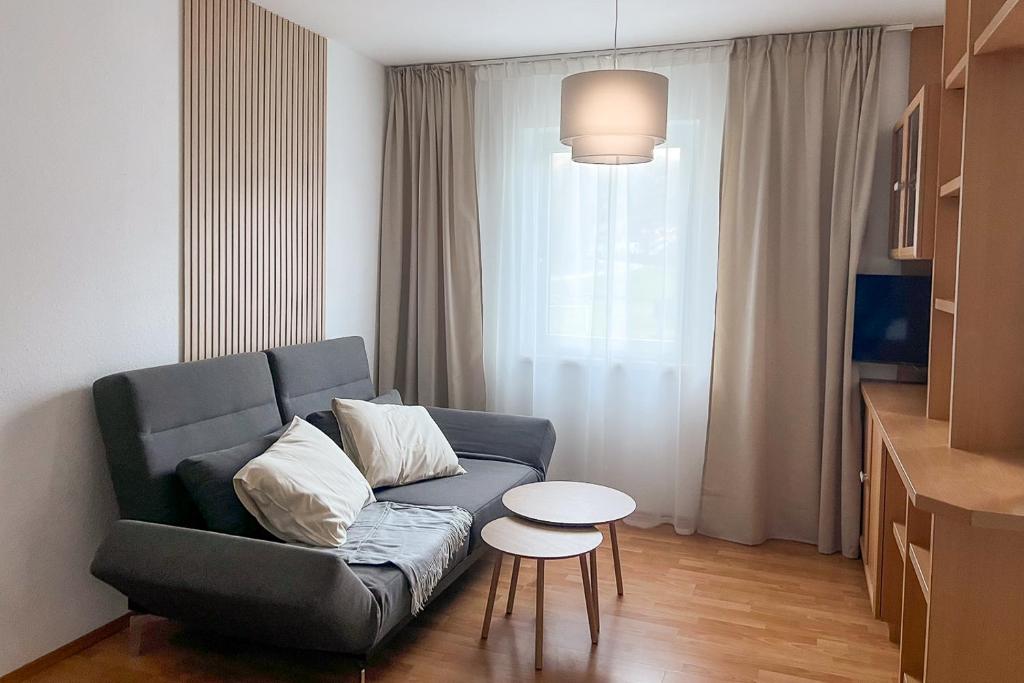 Brunnalm Blick Apartment - 2