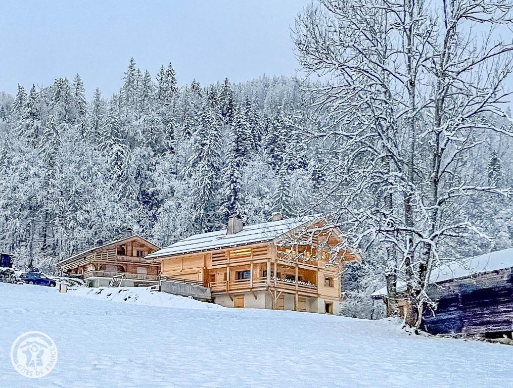 Appartement 6 chambres séjour ski - 3