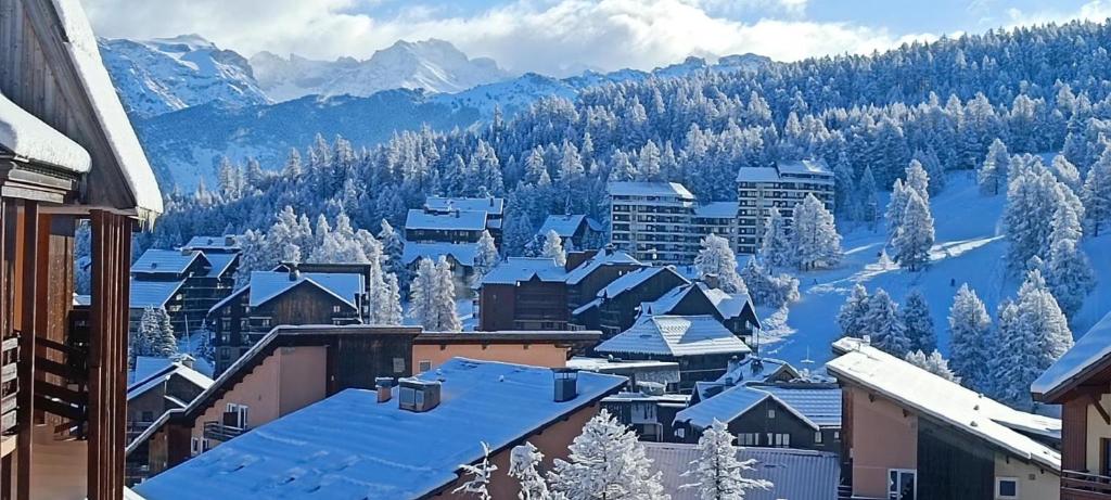 Appart 4 p pied des pistes Risoul 1850 - 2