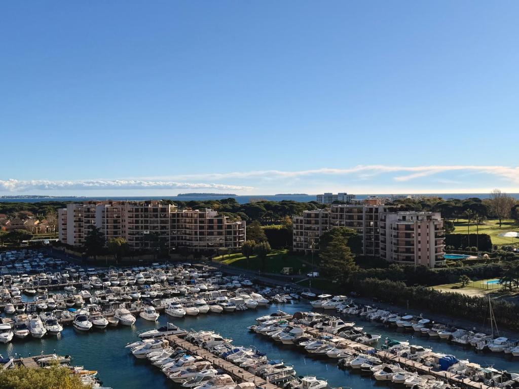 My Resid Appart Divina Cannes Marina vue mer - 3
