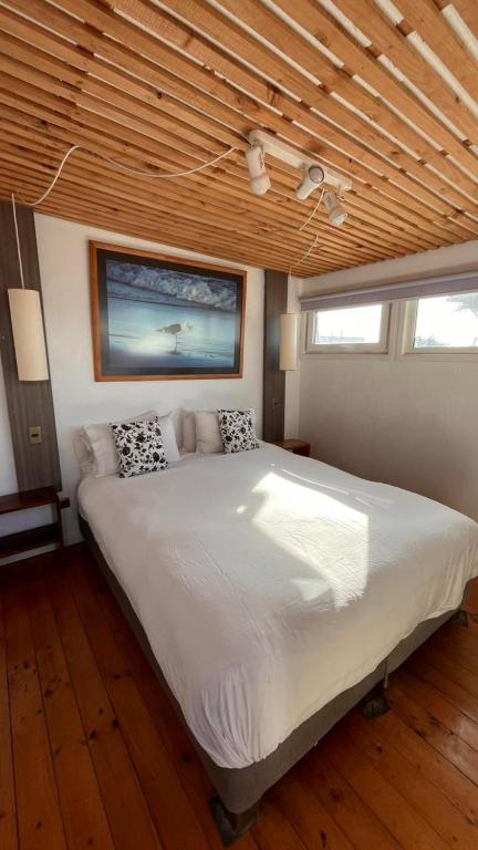 El Crucero Pichilemu - 4