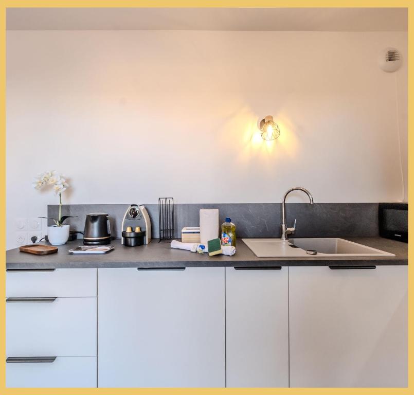 Le Dessaix I Studio I Thonon-les-Bains - 5