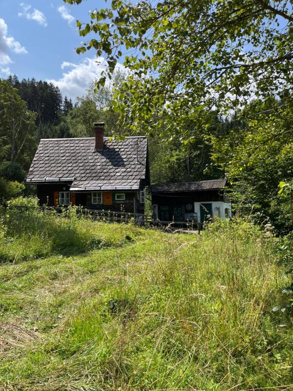 Ferienhütte Admont - 2
